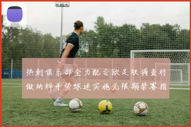热刺俱乐部全力配合欧足联调查对做纳粹手势球迷实施无限期禁赛措施