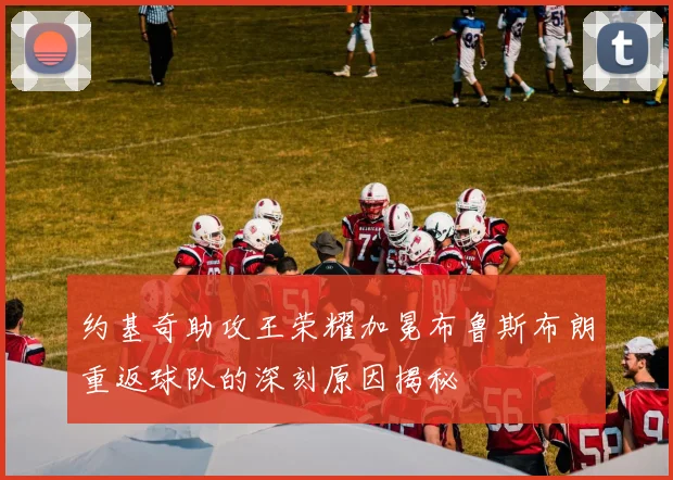 约基奇助攻王荣耀加冕布鲁斯布朗重返球队的深刻原因揭秘