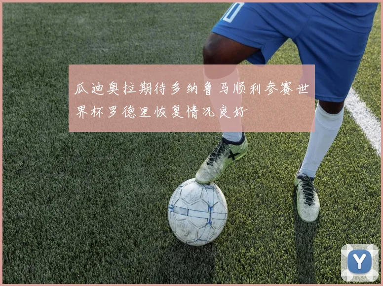 瓜迪奥拉期待多纳鲁马顺利参赛世界杯罗德里恢复情况良好