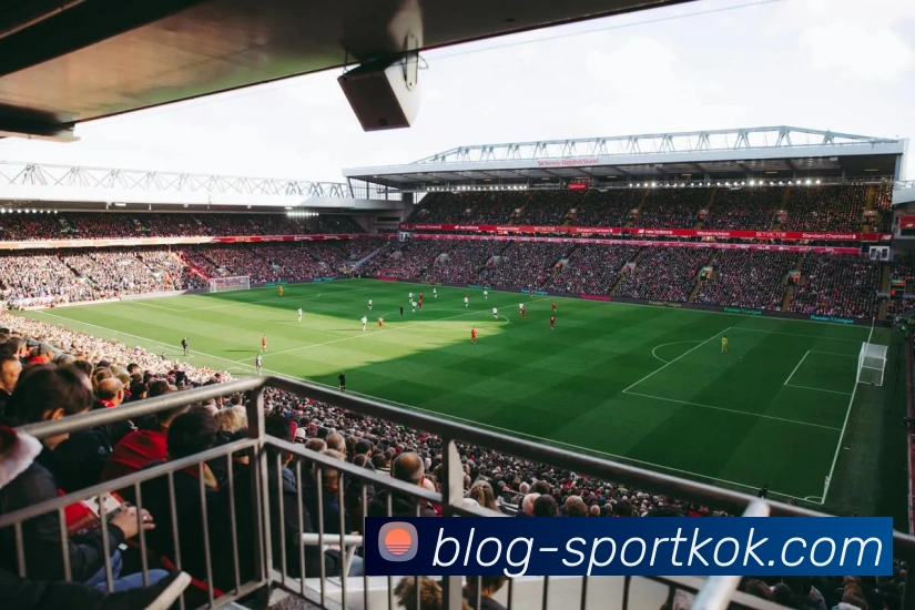 KOK体育平台生态图